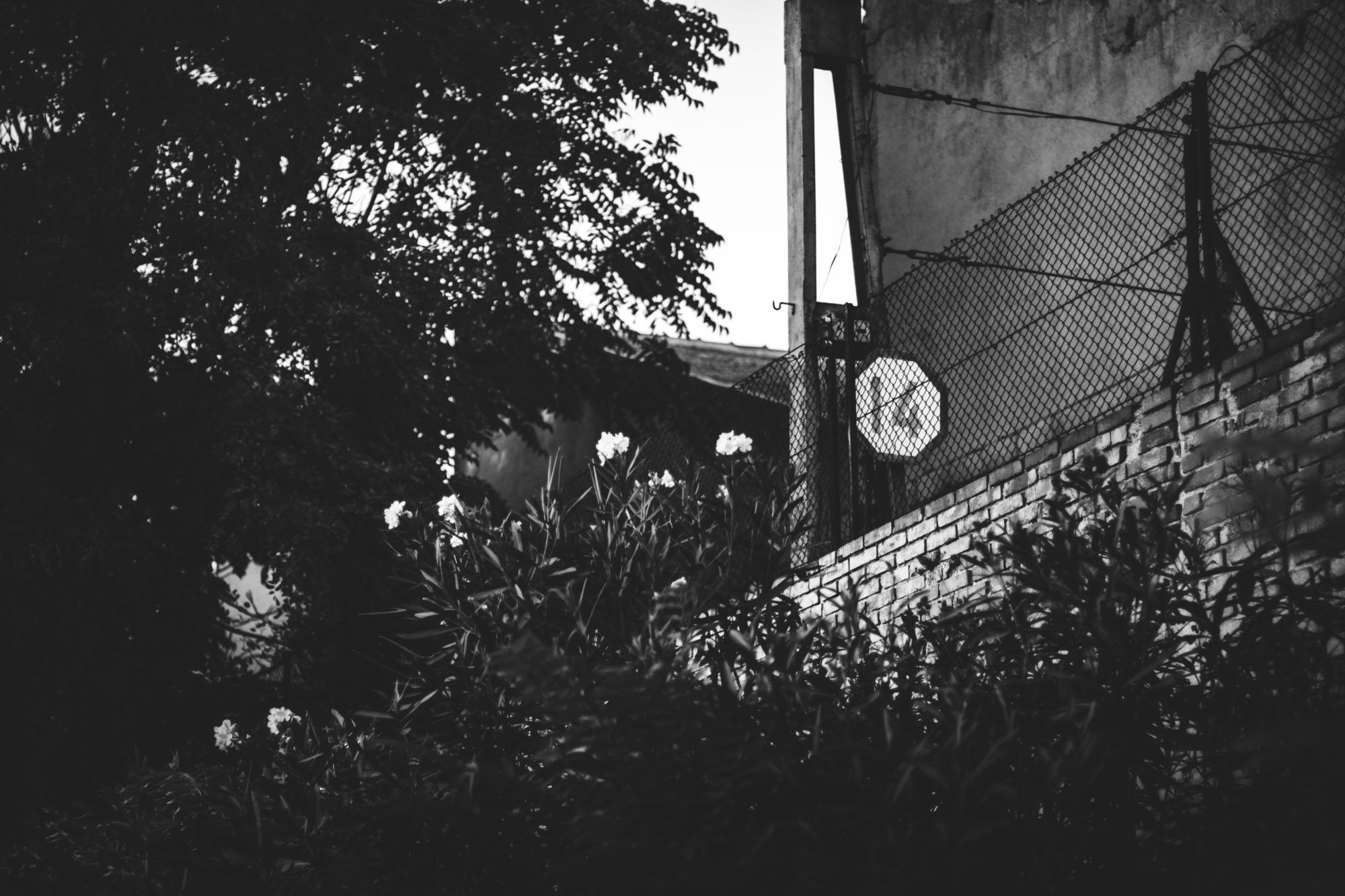 diez mil horas de fotografía