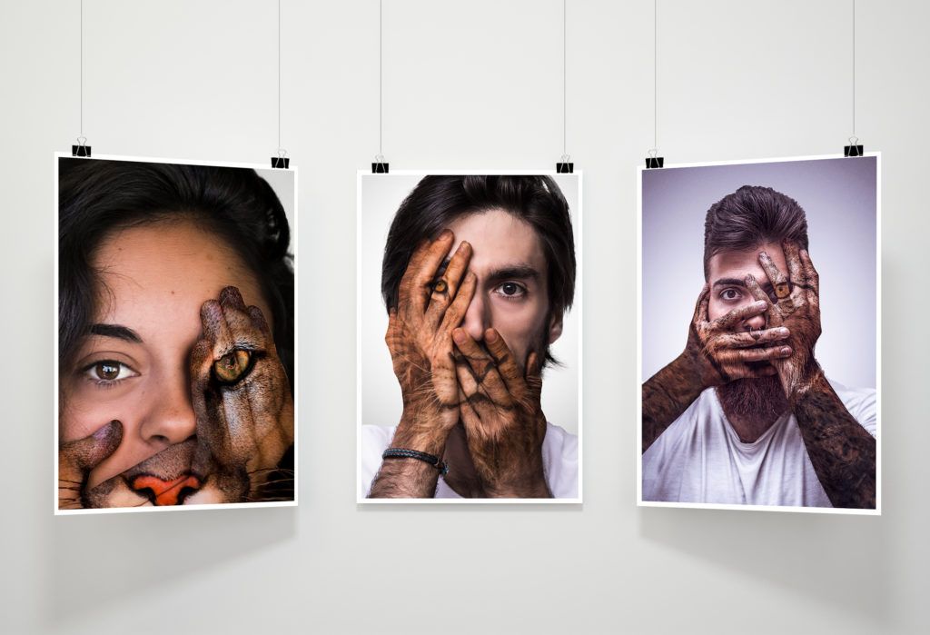 Wild life artista grafico