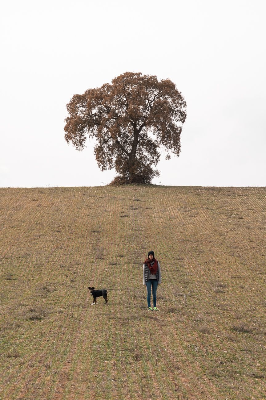 Fotografo de perros encina