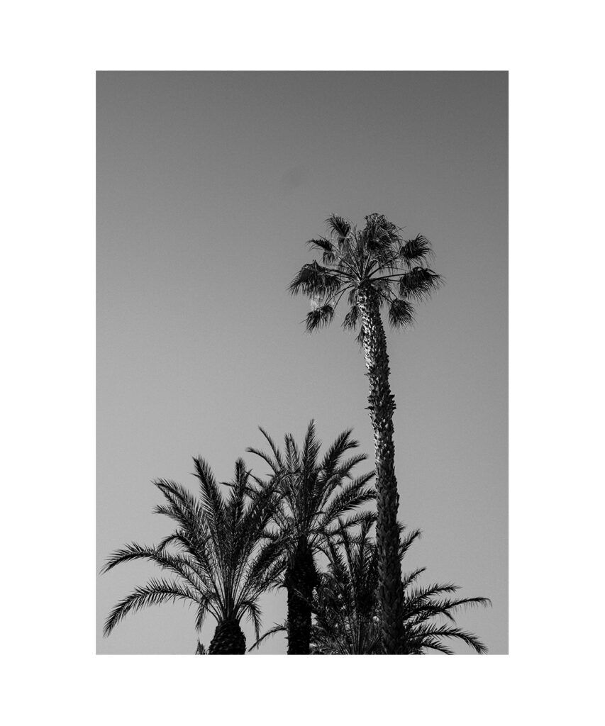 Un verano para recordar