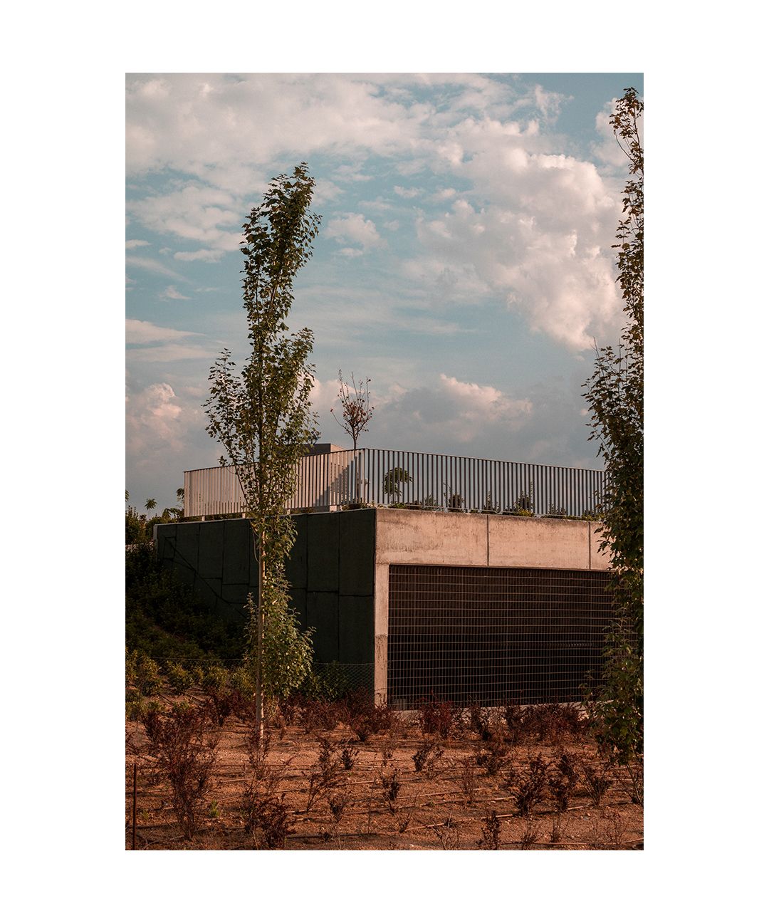 El arte de fotografiar todos los dias