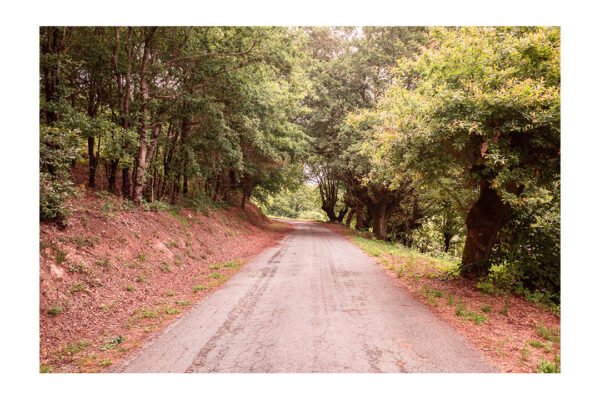CaminoSantiago2021_2_105